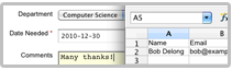 Export Online Form to Excel
