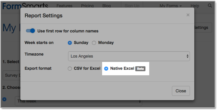 Export Form to Excel