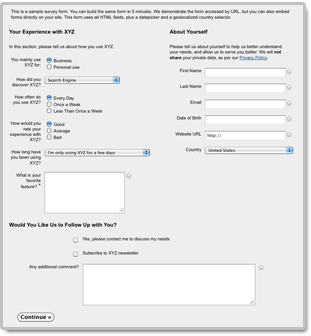 Online form with multiple columns